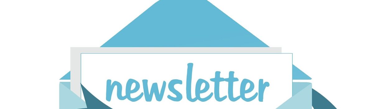 Club Newsletter 13