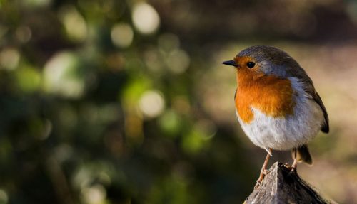 A moments peace - Linda Price