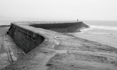 Bleak - Steve Randall