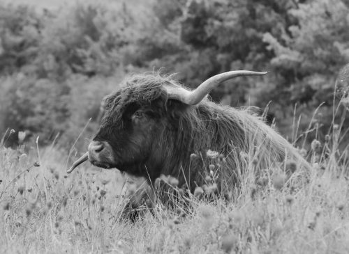 Peaceful times - Linda Price