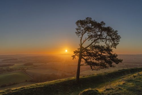 Sunrise from Martinsell Hill - Christina Marsh