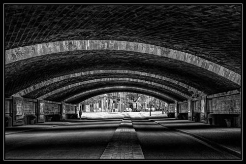 Tunnel - Steve Davies