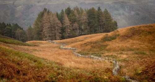 Wandering Wall above Watendlath - Will Delves