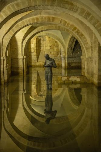 _Steve Govan_